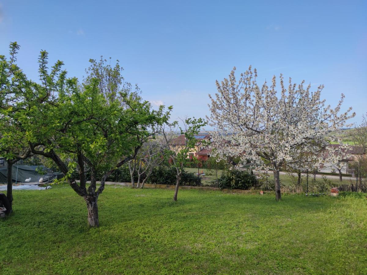 Relax In Collina A Due Passi Dal Mare Apartment Torriana Екстериор снимка